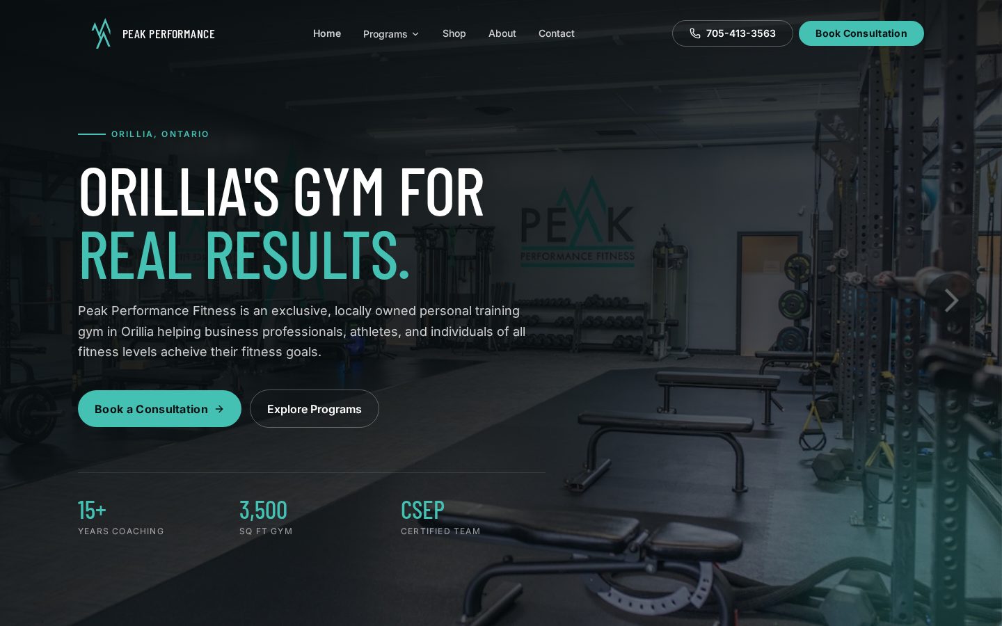 Peak Performance Fitness Smart Website in Orillia, ON, desktop view, built by Review Revenue for home service businesses